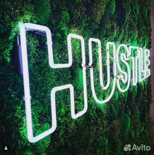 Панно из стабилизированного мха