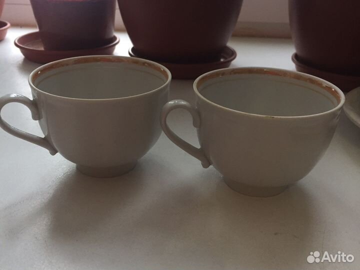 Чайные чашки