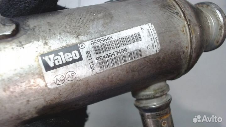 Охладитель отработанных газов Peugeot Expert, 2004