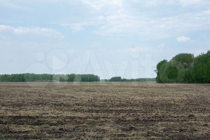 Участок 80 сот. (СНТ, ДНП)