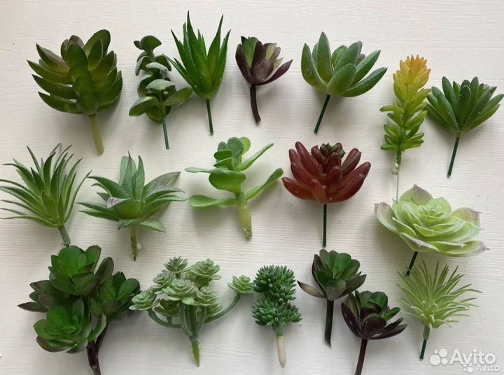 Искусственные суккуленты+эко-мох стабилизиров