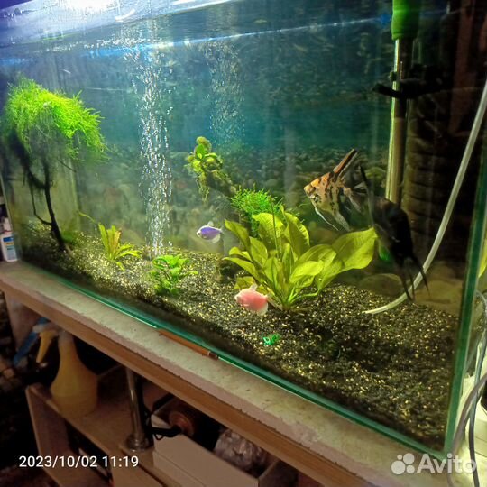 Аквариум с тумбой