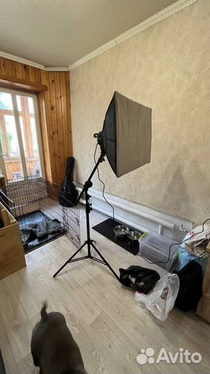 Софтбокс raylab