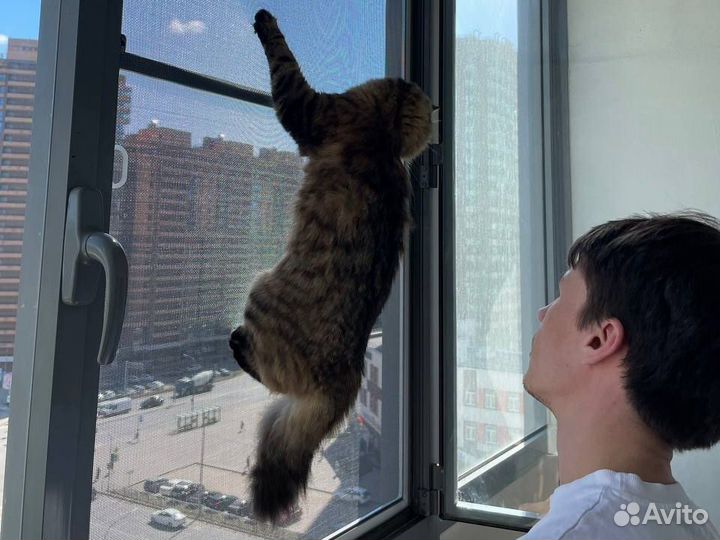 Регулировка пластиковых окон