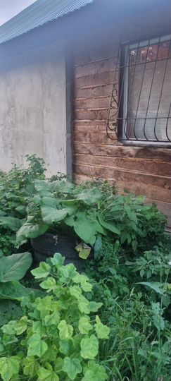 Дача 61,1 м² на участке 8,3 сот.