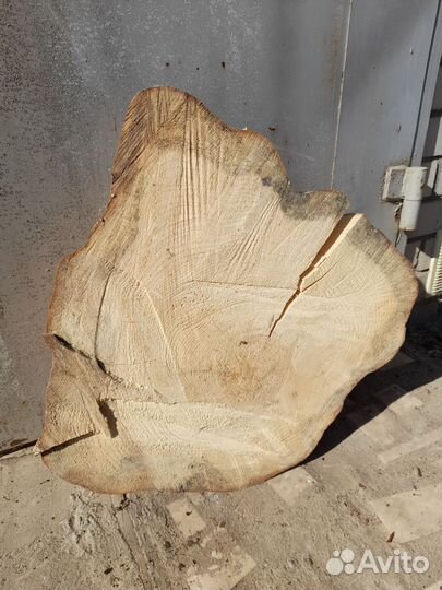 Спил дерева, слеб