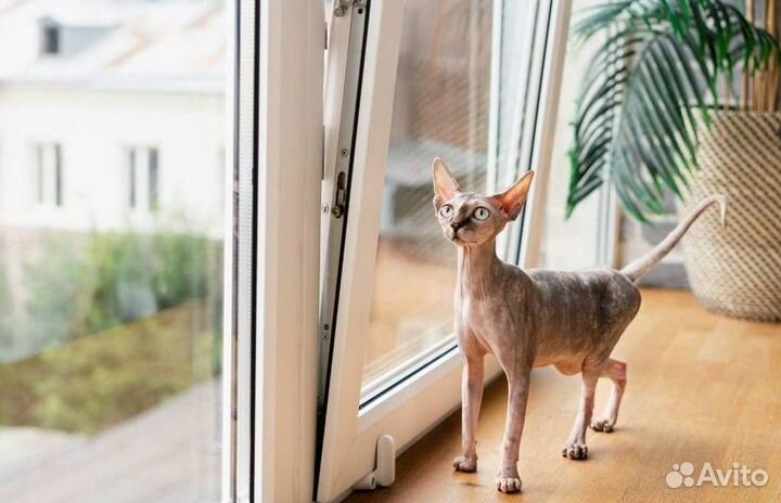 Пластиковые окна и двери пвх