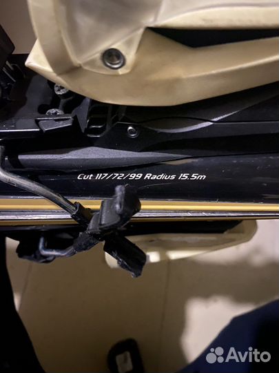 Горные лыжи