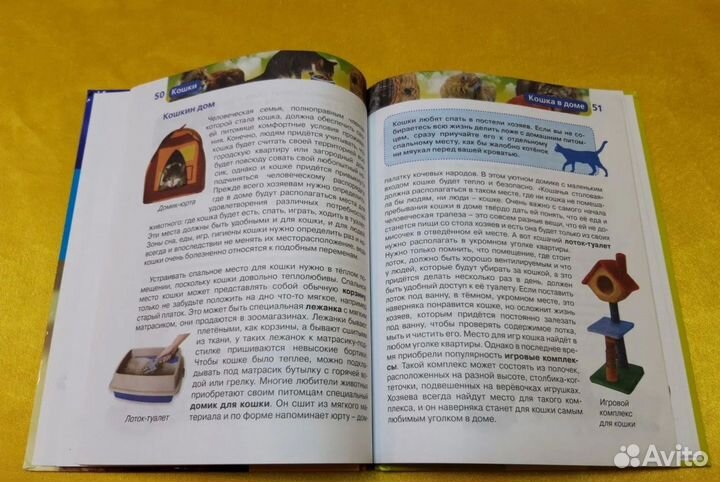 Кoшки. Энциклoпeдия знaний. Елена Широнина