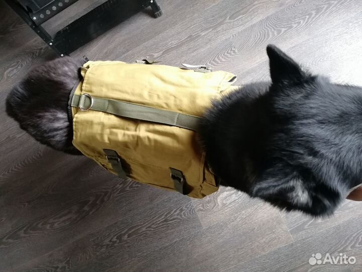 Продам рюкзак на собаку