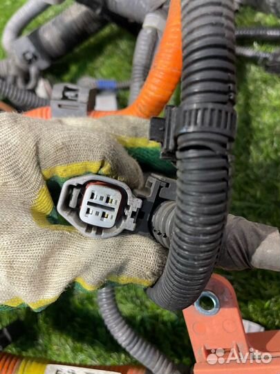 Проводка двигателя Lexus NX рест. 2020