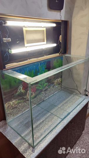 Аквариум