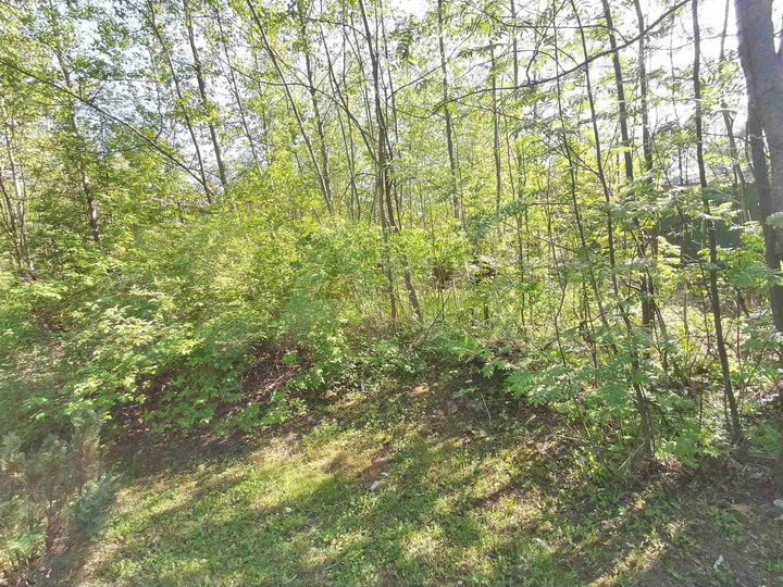 Участок 7,1 сот. (СНТ, ДНП)