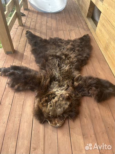 Шкура медведя имитация