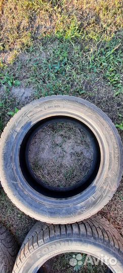 Nokian Tyres Nordman 5 195/55 R16