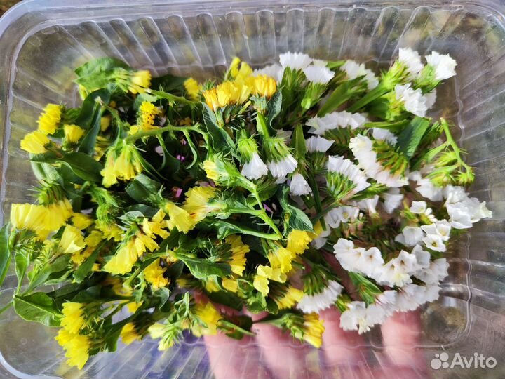 Статица для творчества