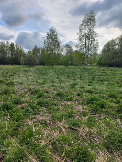 Участок 50 сот. (ИЖС)