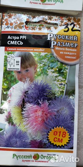 Семена астры,паслена
