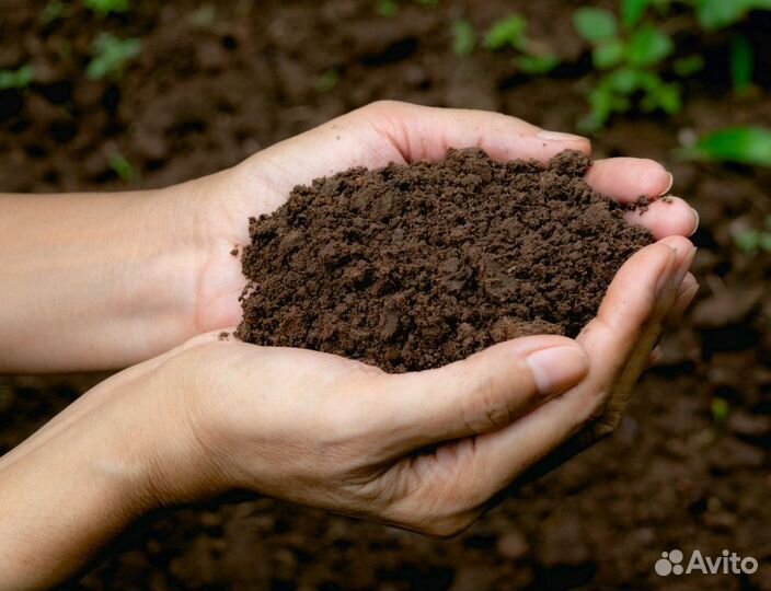 Конский перегной