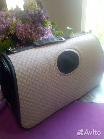 Переноска для кошек. Аренда