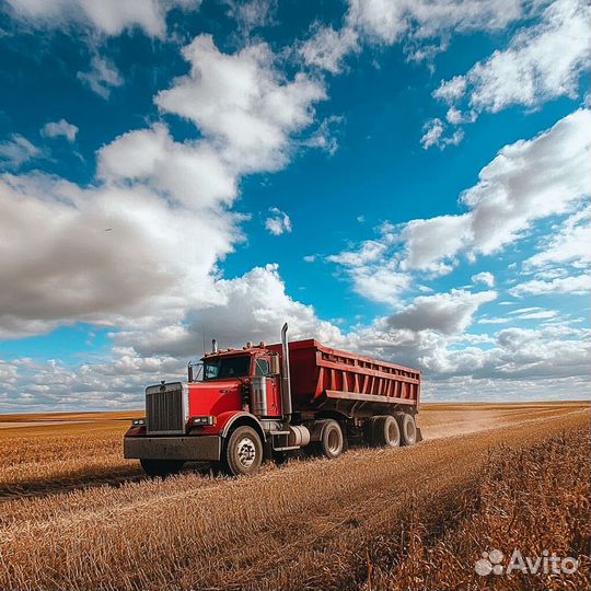 Сельхоз шины 13 R22.5