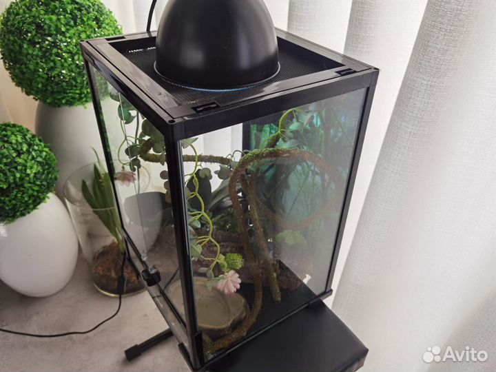 Террариум для рептилий