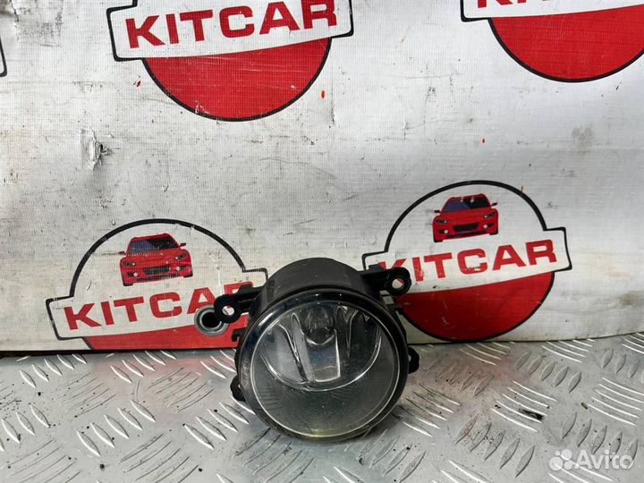 Противотуманка птф правая Ford Focus 2