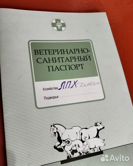 Козье молоко, сыр, доставка