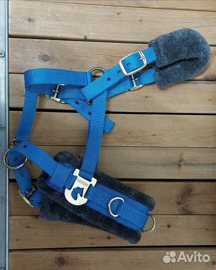 Кавессон shires, cob