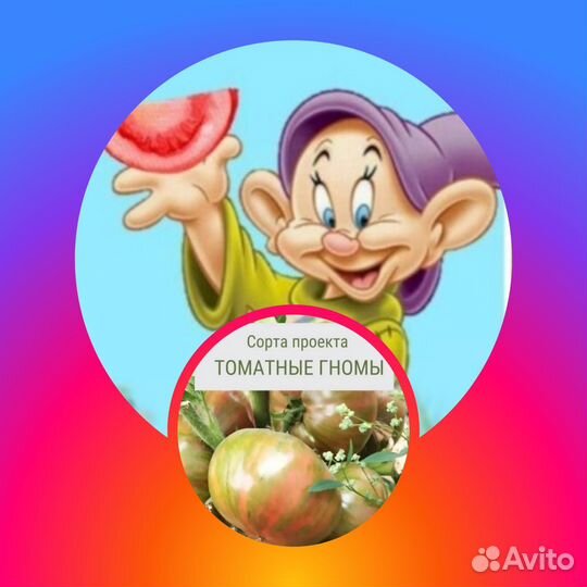 Семена гном