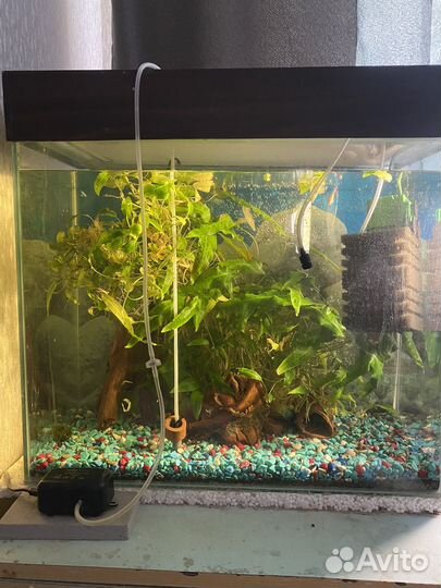 Аквариум