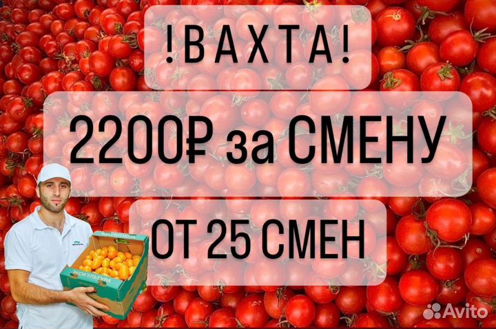 Вахта от 25 смен Тула/Разнорабочие/Проживание