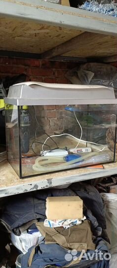 Аквариум