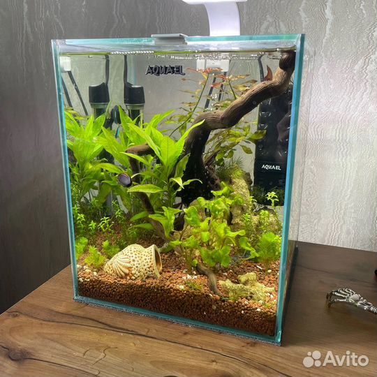 Аквариум 20 литров