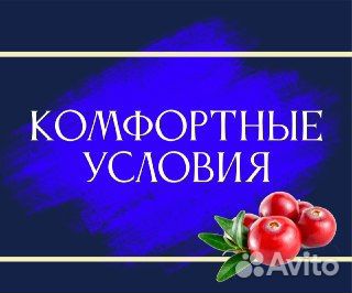 Грузчик в магазин детских товаров