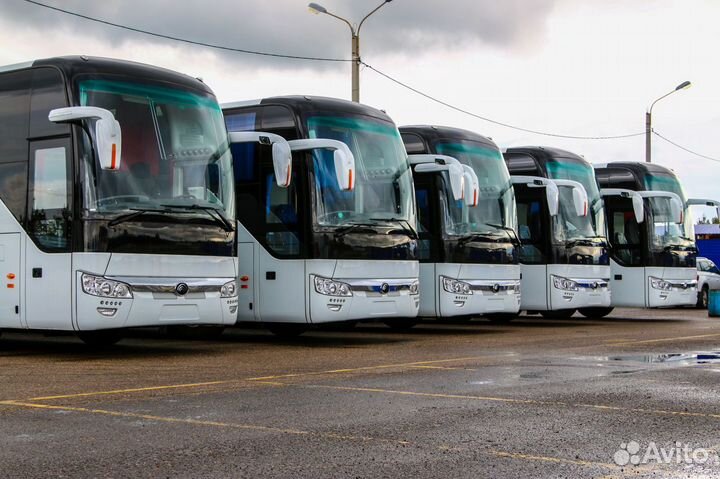 Минивены, микроавтобусы и автобусы до 50 мест