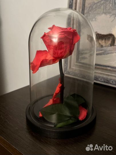 Роза в колбе