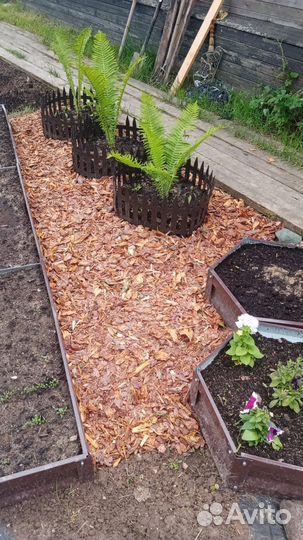 Кора сосны,мульча,для облагораживания