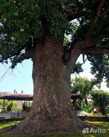 Экскурсия 33 водопада