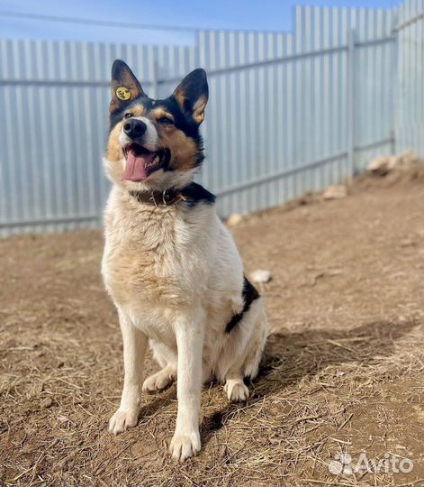 Небольшой Мартин в заботливые руки