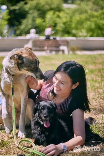 Кинолог зоопсихолог