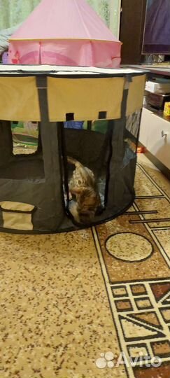 Манеж для питомцев