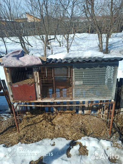 Клетка для кролика