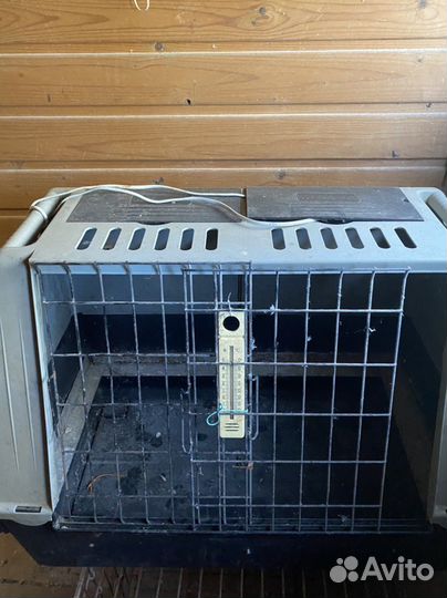 Брудер для цыплят бу