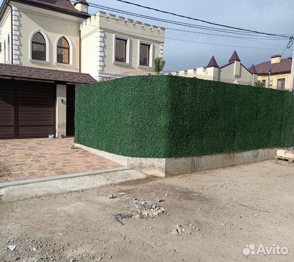 Зеленый забор/изгородь