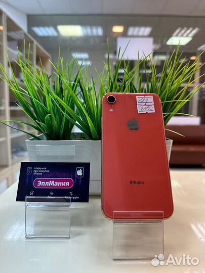 iPhone Xr, 128 ГБ
