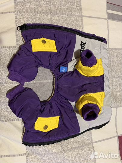 Одежда для собак