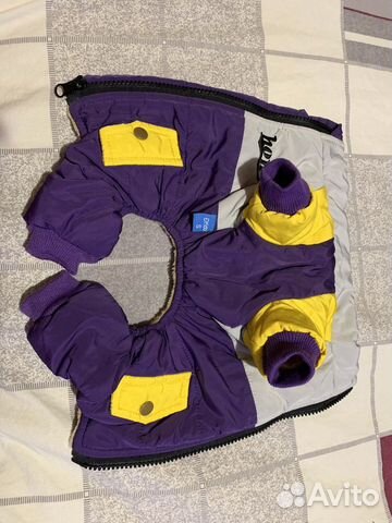 Одежда для собак