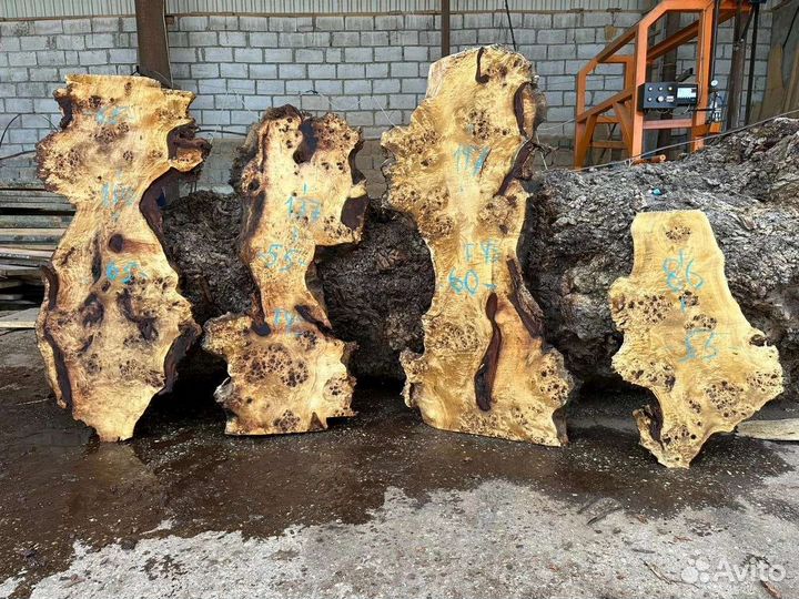 Слэб дерева и спилы