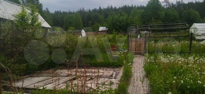 Дом 50 м² на участке 20 сот.